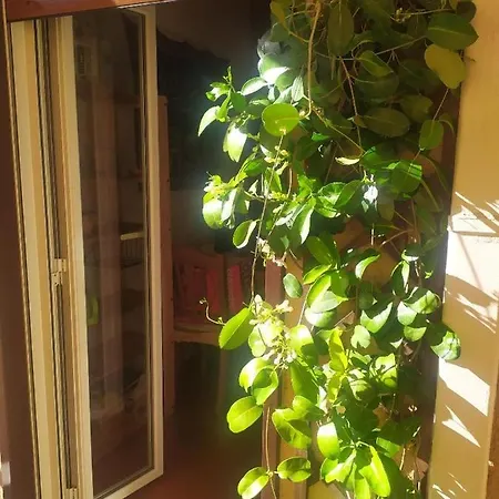 Casa Annunziata Διαμέρισμα Μεσίνα